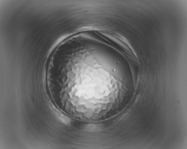 X0000081601179200701151331