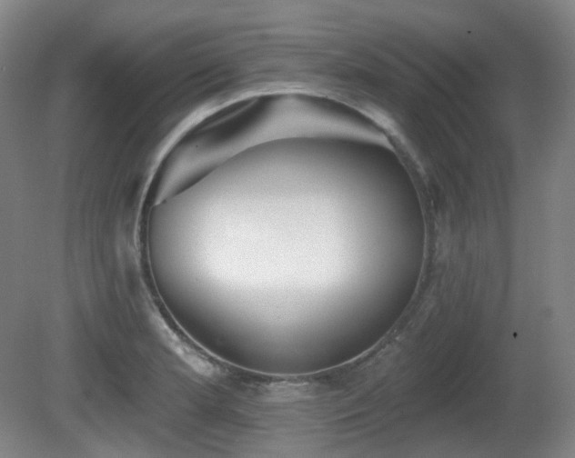 X0000081601181200701151331