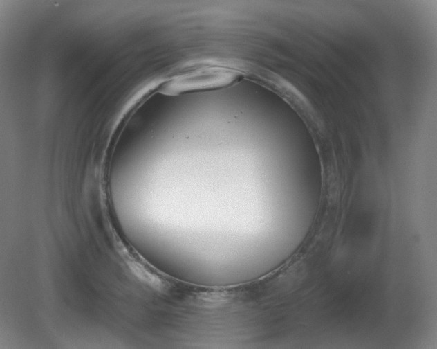 X0000081601182200701151331