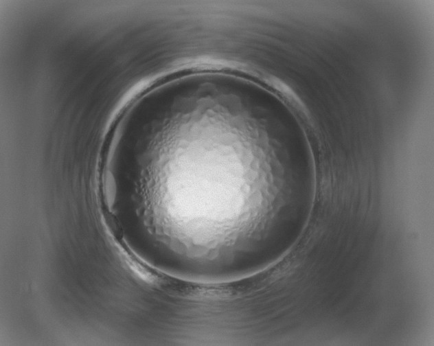X0000081601183200701151331
