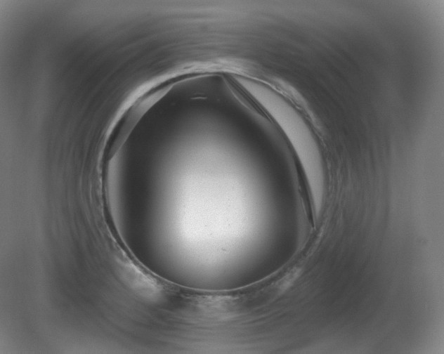 X0000081601184200701151331