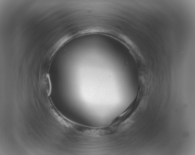 X0000081601185200701151331