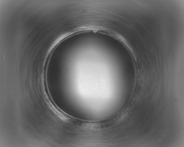 X0000081601187200701151331
