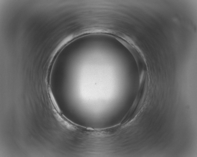 X0000081601189200701151331