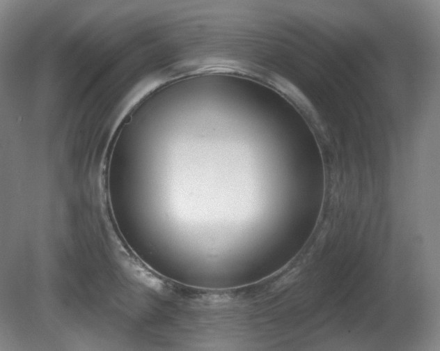 X0000081601190200701151331