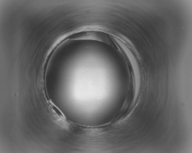 X0000081601192200701151331