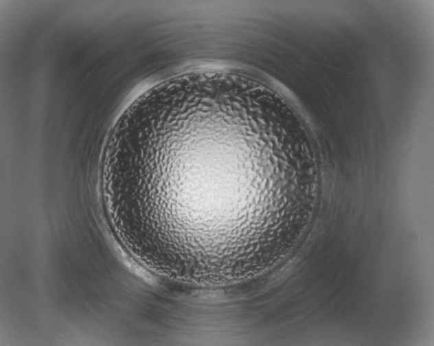 X0000081601194200701151331