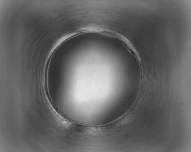 X0000081601195200701151331