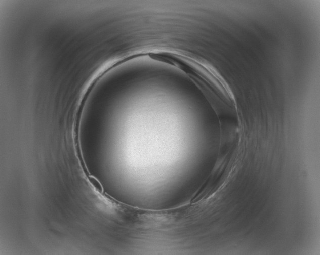 X0000081601197200701151331
