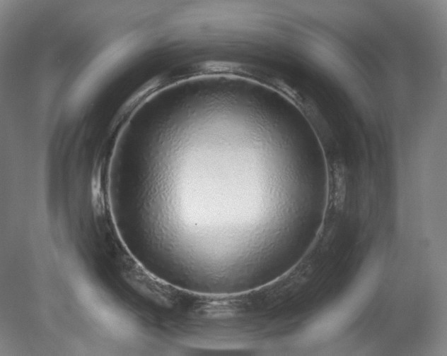 X0000081601198200701151331