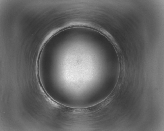 X0000081601199200701151331