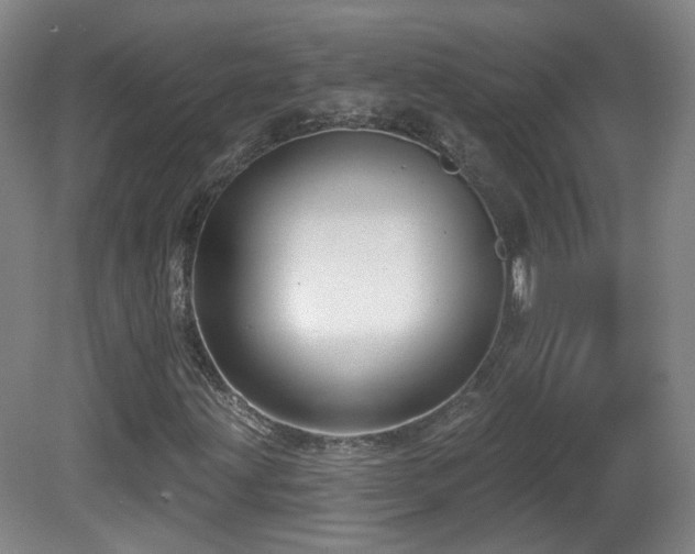 X0000081601203200701151330