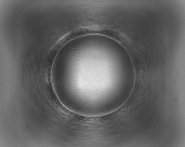 X0000081601205200701151330
