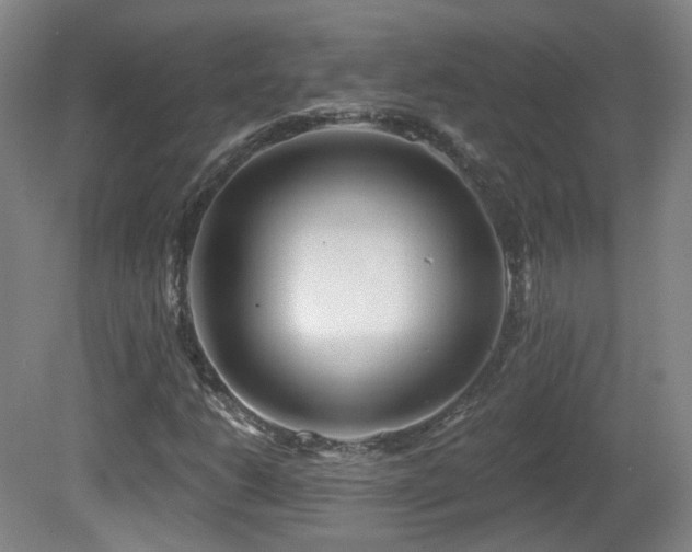 X0000081601206200701151330