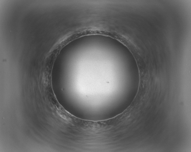 X0000081601207200701151330