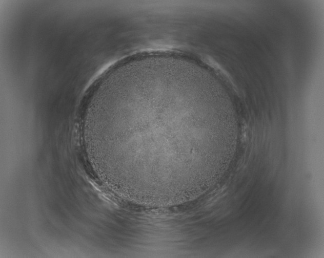 X0000081601208200701151330
