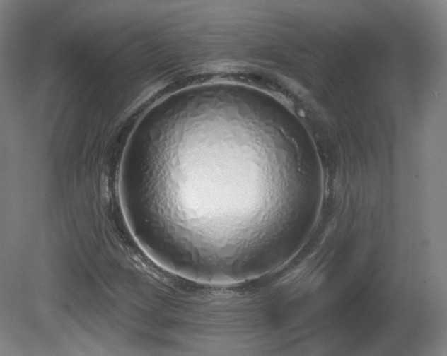 X0000081601209200701151330