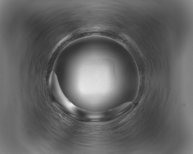 X0000081601210200701151330