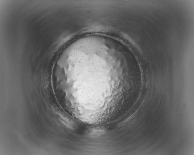 X0000081601213200701151330
