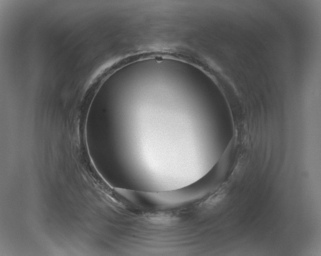 X0000081601214200701151330