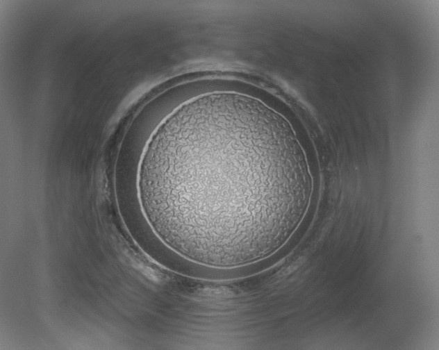 X0000081601215200701151330