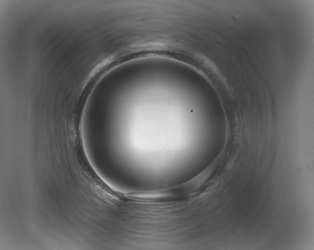 X0000081601218200701151330