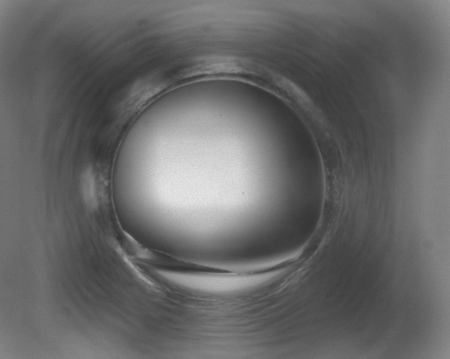 X0000081601225200701151330