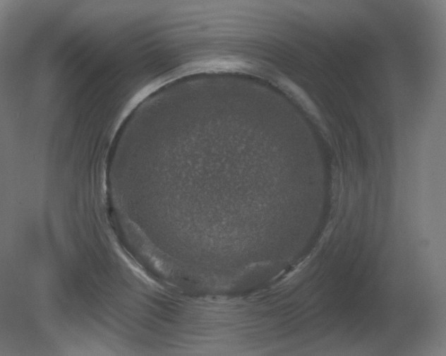 X0000081601226200701151330