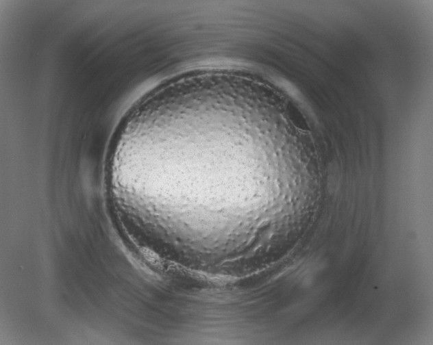 X0000081601229200701151330