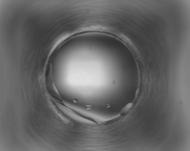 X0000081601230200701151330