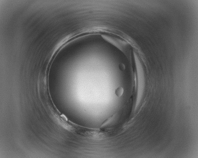 X0000081601234200701151330
