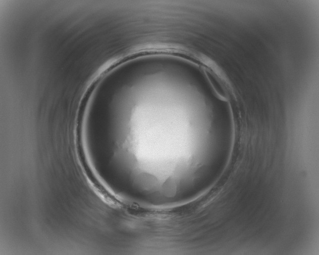 X0000081601237200701151331