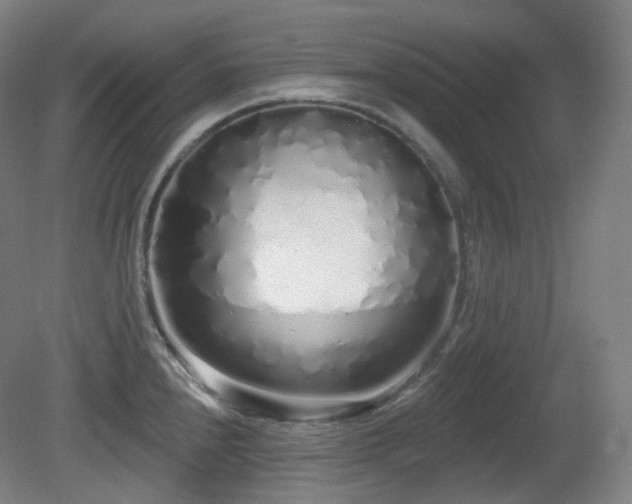 X0000081601240200701151331