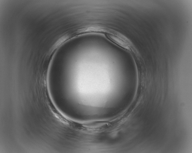 X0000081601241200701151331