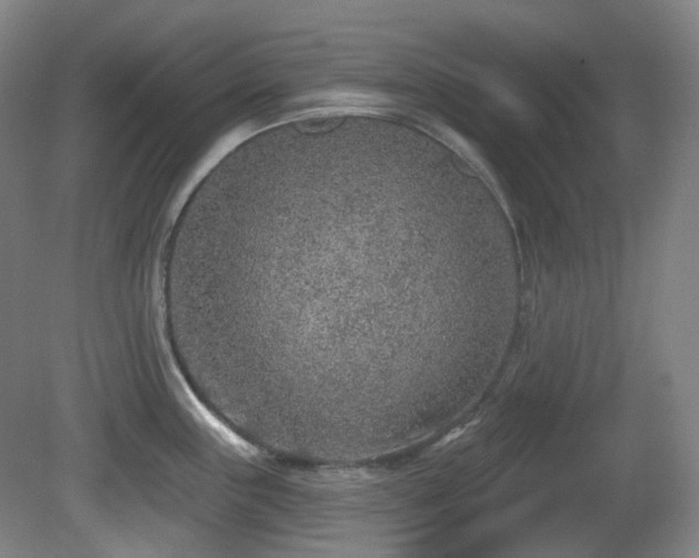 X0000081601243200701151331