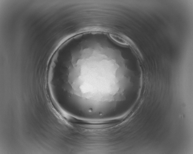 X0000081601244200701151331