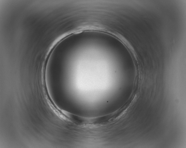 X0000081601246200701151331
