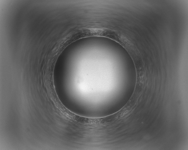 X0000081601249200701151330