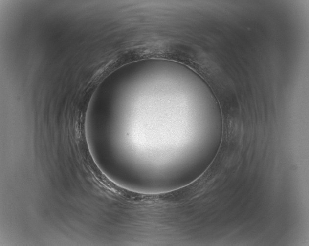 X0000081601250200701151330