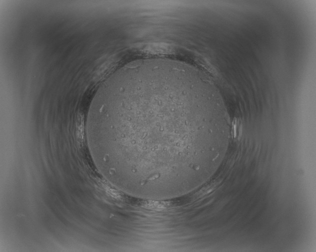 X0000081601251200701151330