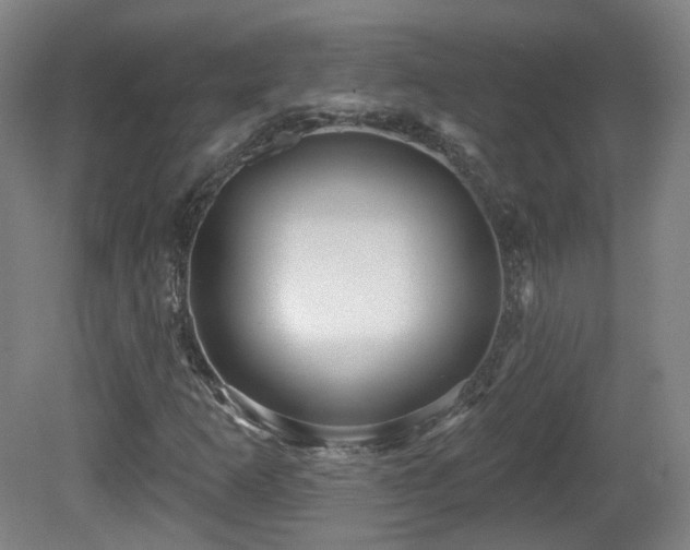 X0000081601253200701151330