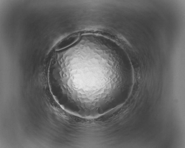 X0000081601256200701151330