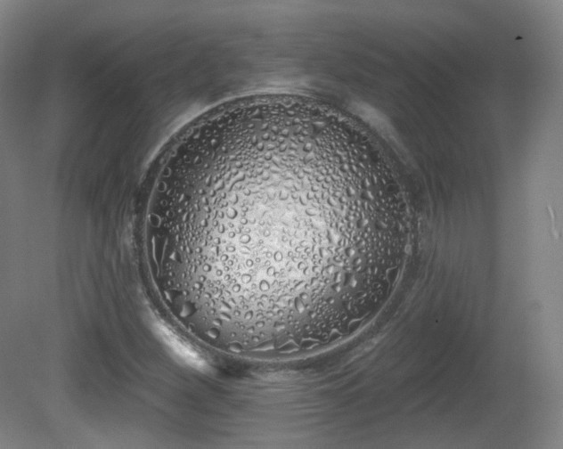 X0000081601260200701151330