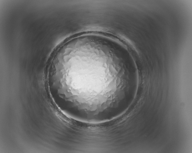 X0000081601264200701151330