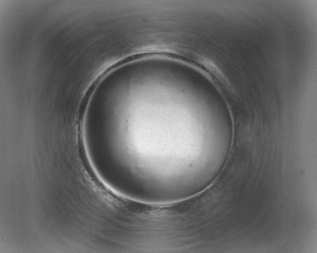 X0000081601268200701151330