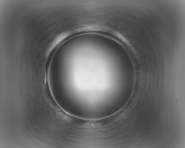 X0000081601269200701151330