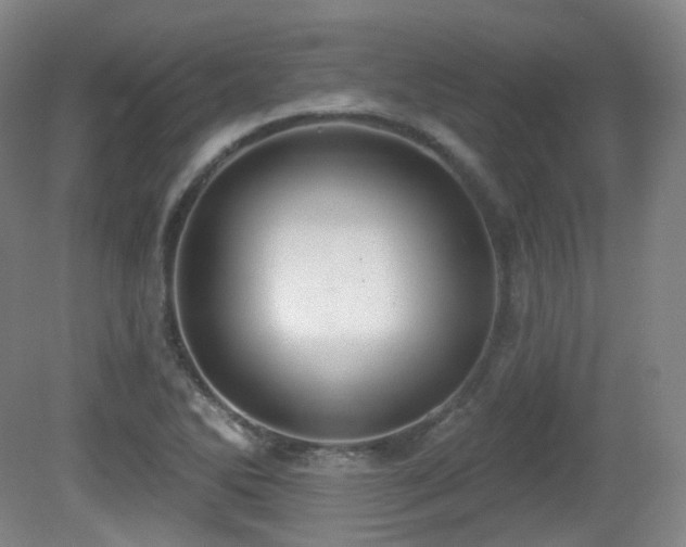 X0000081601270200701151330