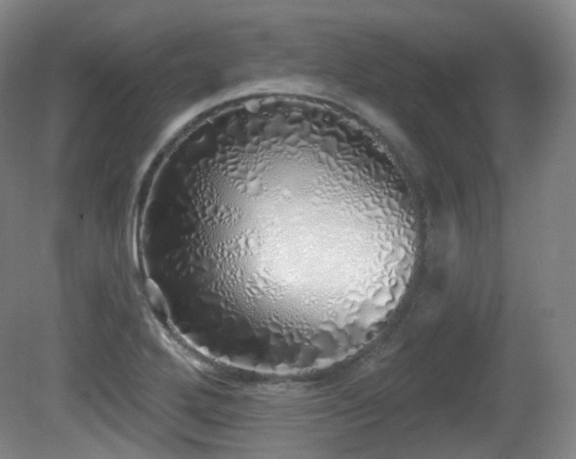 X0000081601272200701151329