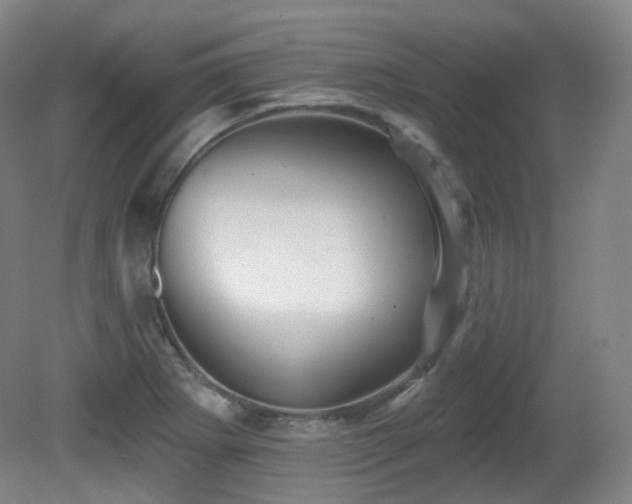 X0000081601273200701151329