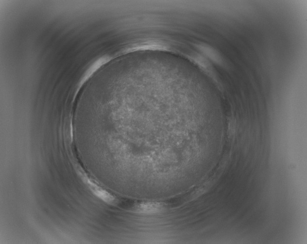 X0000081601274200701151329